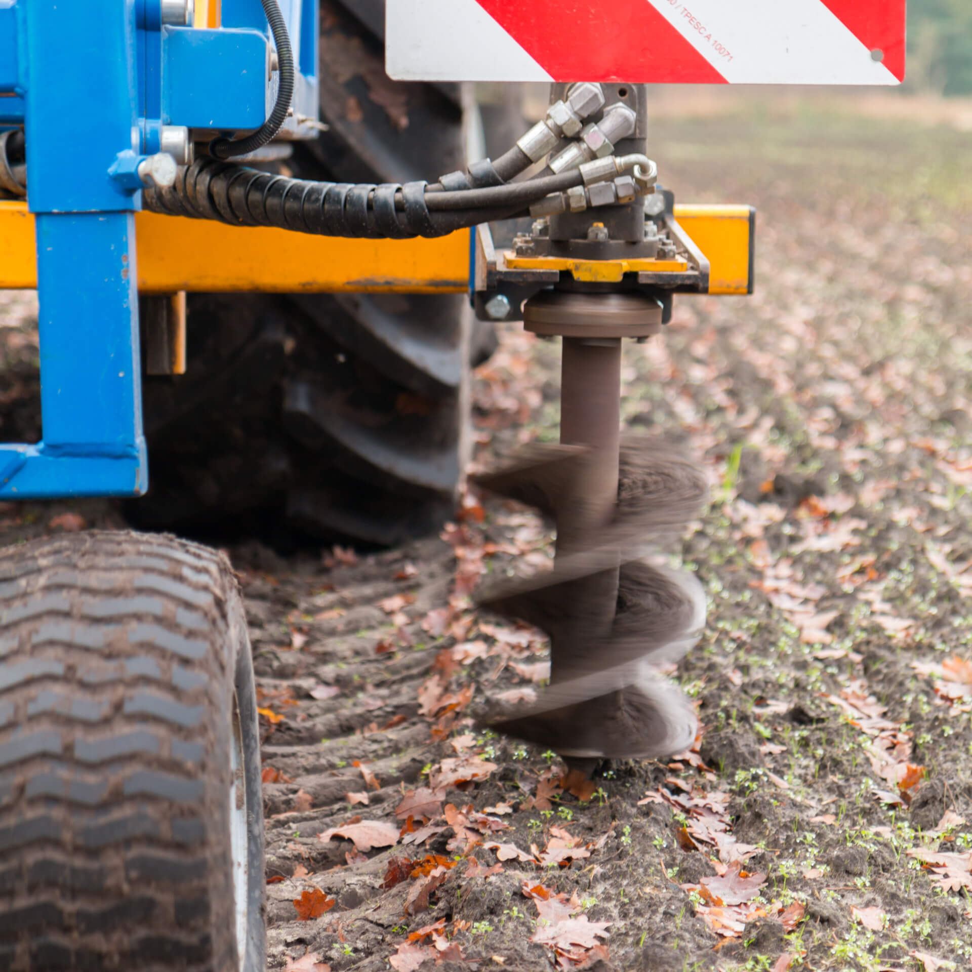 Boomplantactie Den Diel Dessel